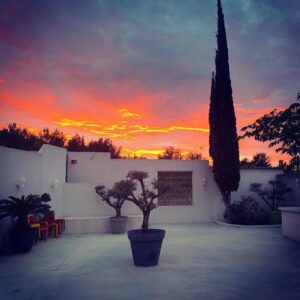 Lire la suite à propos de l’article Le Patio d’Emmanuel – Salle de réception – Carnoux en Provence